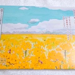 161位のイメージ