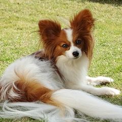 28位のイメージ