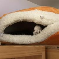 57位のイメージ