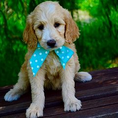 133位のイメージ