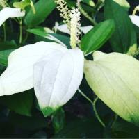 30位のイメージ