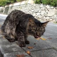 489位のイメージ