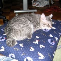 86位のイメージ