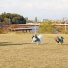 53位のイメージ