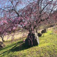 147位のイメージ