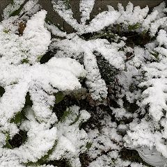 10位のイメージ