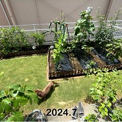 130位のイメージ