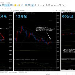 15013位のイメージ