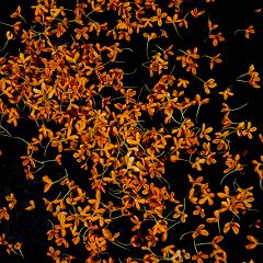 157位のイメージ