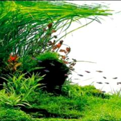 13位のイメージ