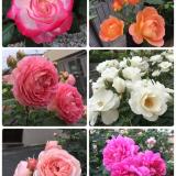 25位のイメージ