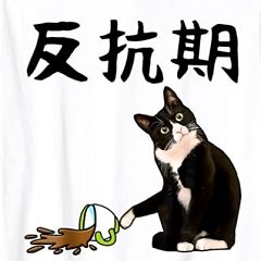 10位のイメージ