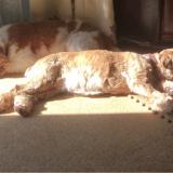 11位のイメージ