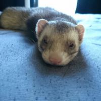 18位のイメージ