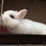 84位のイメージ