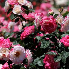 128位のイメージ