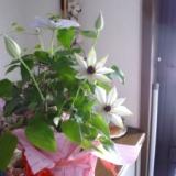 13位のイメージ