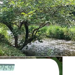 134位のイメージ