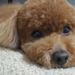 13位のイメージ