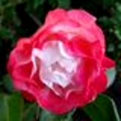 27位のイメージ