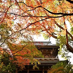 16位のイメージ