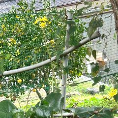 13位のイメージ