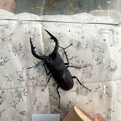 27位のイメージ