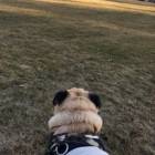 10位のイメージ