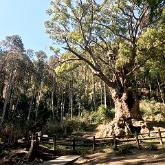 60位のイメージ