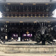 52位のイメージ