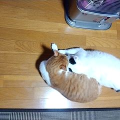 33位のイメージ