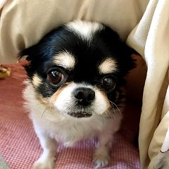 28位のイメージ