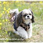 627位のイメージ