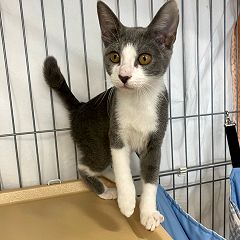 134位のイメージ