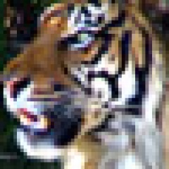 162位のイメージ