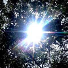 11位のイメージ