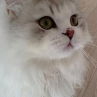 10位のイメージ