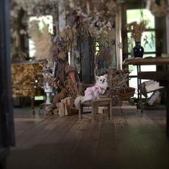 73位のイメージ