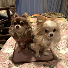 16位のイメージ