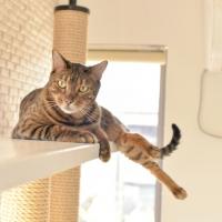 15位のイメージ