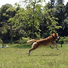 2420位のイメージ