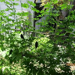 18位のイメージ