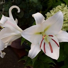 44位のイメージ