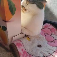 37位のイメージ