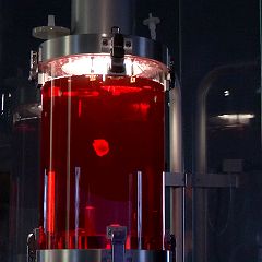 14位のイメージ