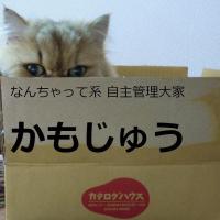 69位のイメージ