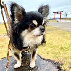 29位のイメージ