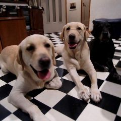 36位のイメージ