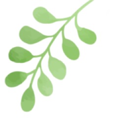 23位のイメージ