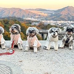 37位のイメージ